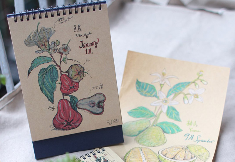台灣水果花萬年桌曆 水果花插畫